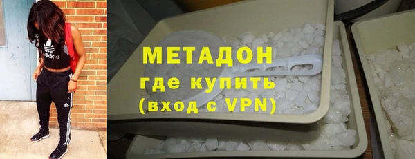 прущие грибы Абаза