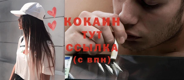 прущие грибы Абаза