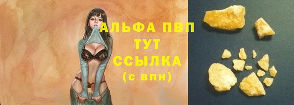 стафф Алексин