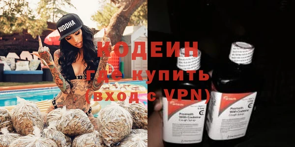 прущие грибы Абаза