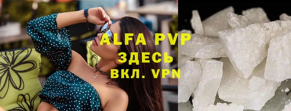 прущие грибы Абаза
