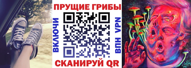 Псилоцибиновые грибы Psilocybine cubensis  где найти наркотики  Октябрьский 